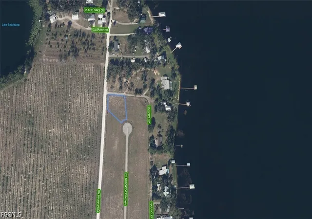 Photo 2 of Land for sale at 145 Magnolia Manor Ln, Lake Placid, FL 33852 | MLS# 2026032569 | Listing updated on 2026-07-31