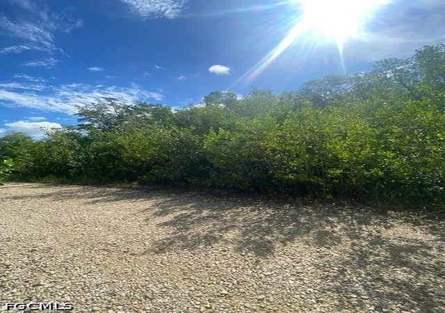 4th image of 78 Otter Ave, Everglades City, FL 34139 | MLS# 2026032845