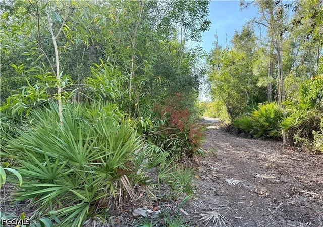 Photo 2 of Land for sale at Guava Ave, Bokeelia, FL 33922 | MLS# 2026032914 | Listing updated on 2026-08-04