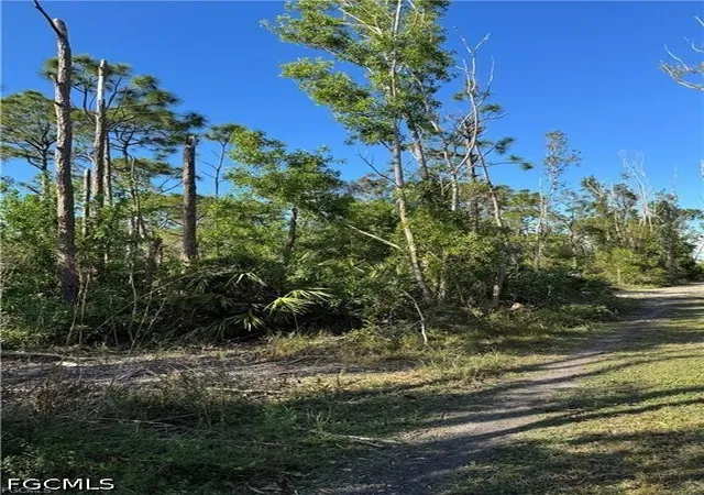 Photo 3 of Land for sale at Guava Ave, Bokeelia, FL 33922 | MLS# 2026032914 | Listing updated on 2026-08-04