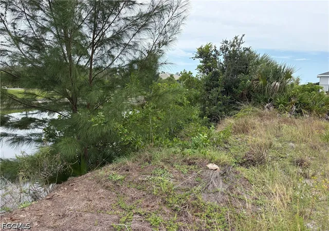 Photo 2 of Land for sale at 2725 Nw 41st Avenue, Cape Coral, FL 33993 | MLS# 2026033250 | Listing updated on 2026-08-05