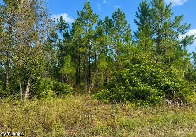 Photo 3 of Sale Pending at 1010 Columbus Ave, Lehigh Acres, FL 33972 | MLS# 226028477 | Listing updated on 2026-08-31