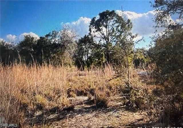 Photo 3 of Land for sale at 56th Avenue Ne, Naples, FL 34120 | MLS# 226028536 | Listing updated on 2026-10-07