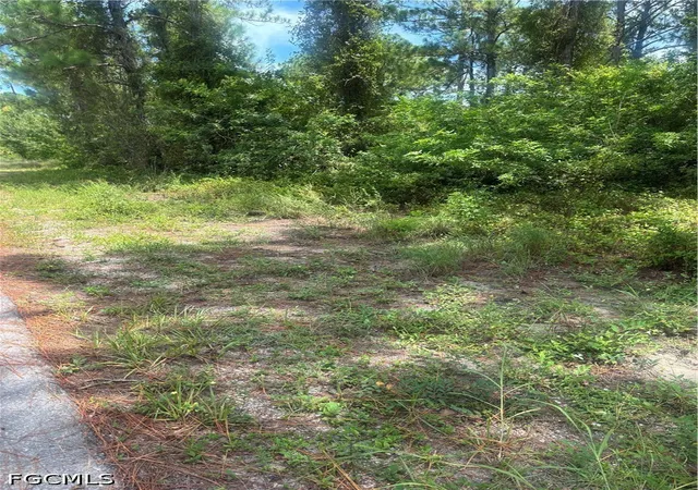 Photo 2 of Land for sale at 2110 Jackson Ave, Alva, FL 33920 | MLS# 2026033845 | Listing updated on 2026-08-12