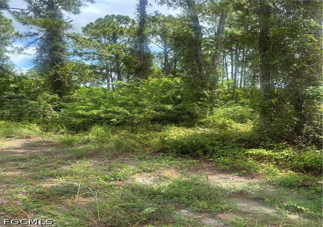 Photo 3 of Land for sale at 2110 Jackson Ave, Alva, FL 33920 | MLS# 2026033845 | Listing updated on 2026-08-12