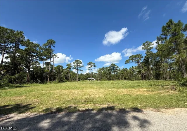 Photo 1 of Land for sale at 9 Hines Ave, Lehigh Acres, FL 33936 | MLS# 2026033896 | Listing updated on 2026-08-10