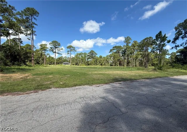 Photo 3 of Land for sale at 9 Hines Ave, Lehigh Acres, FL 33936 | MLS# 2026033896 | Listing updated on 2026-08-10