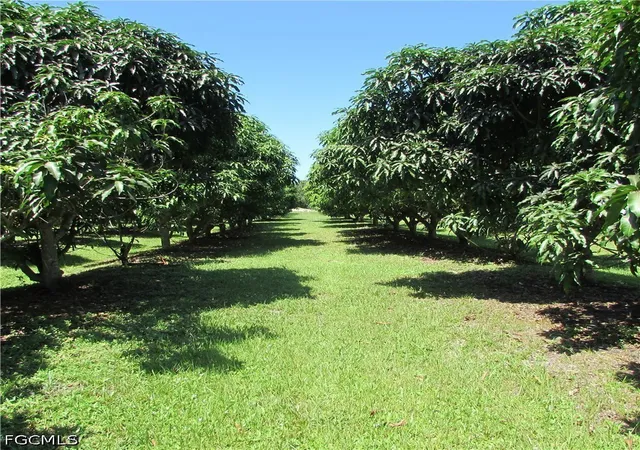 Photo 3 of Sale Pending at 14499 Windsong Ln, Bokeelia, FL 33922 | MLS# 2026035253 | Listing updated on 2026-09-01
