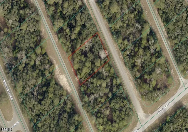 Photo 1 of Land for sale at 8001 0252 13 Alley Rd, Ocala, FL 34473 | MLS# 2026036994 | Listing updated on 2026-09-01