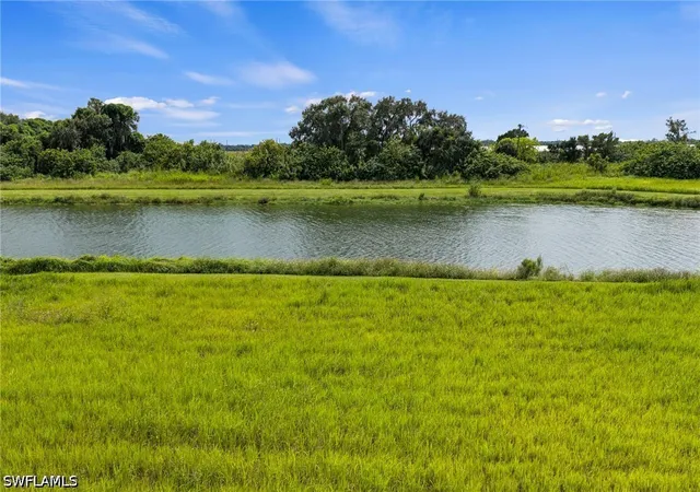 Land for sale at 22710 Yellow Button Ln, Alva, FL 33920 | MLS# 226034754