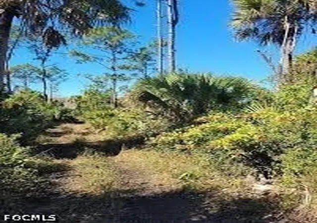 Photo 1 of Land for sale at 601 Union Ave, Clewiston, FL 33440 | MLS# 2026041638 | Listing updated on 2026-10-02