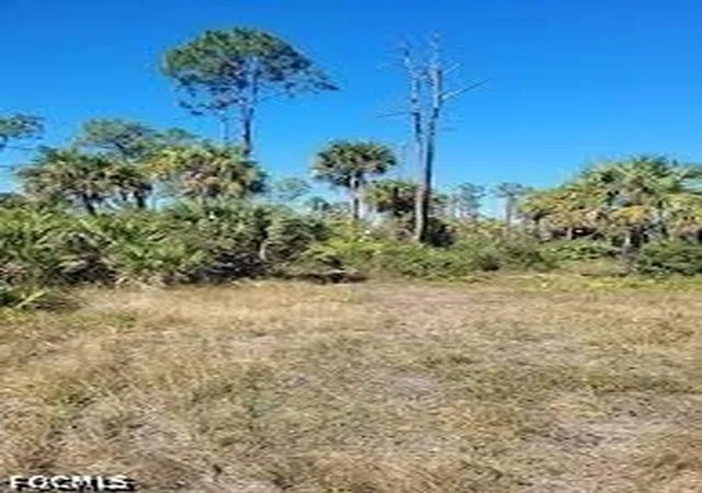 Photo 2 of Land for sale at 601 Union Ave, Clewiston, FL 33440 | MLS# 2026041638 | Listing updated on 2026-10-02