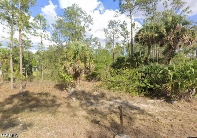 Land for sale at 812 Sheldon Ave, Lehigh Acres, FL 33936 | MLS# 2026041679