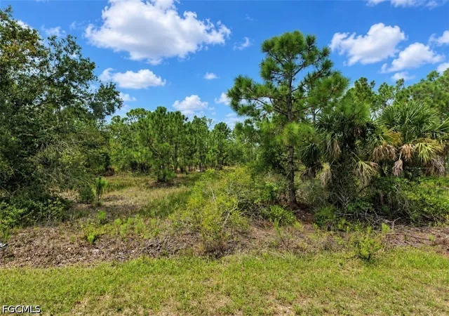 Land for sale at 27349 Mandalay Dr, Punta Gorda, FL 33955 | MLS# 2026042098