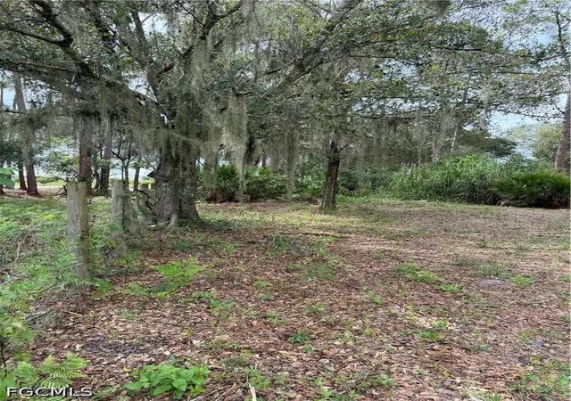 Land for sale at 980 N Deer St, Clewiston, FL 33440 | MLS# 2026042305
