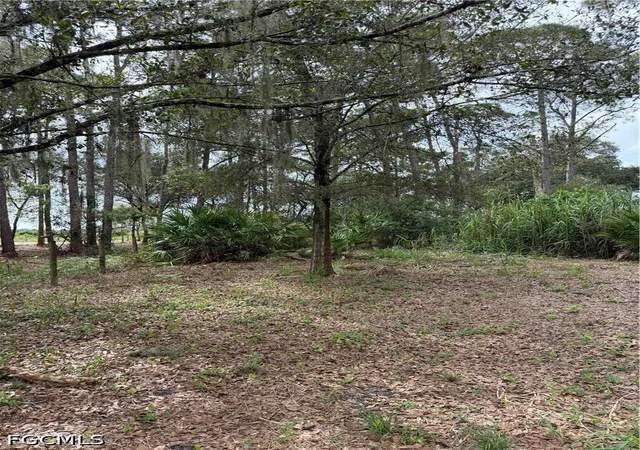 Photo 3 of Land for sale at 980 N Deer St, Clewiston, FL 33440 | MLS# 2026042305 | Listing updated on 2026-10-07
