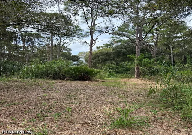 Photo 4 of Land for sale at 980 N Deer St, Clewiston, FL 33440 | MLS# 2026042305 | Listing updated on 2026-10-07