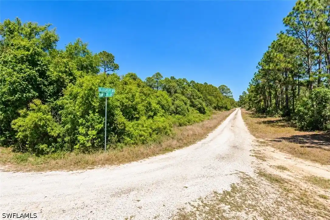 Land for sale at 406 Allegheny Ave, Lake Placid, FL 33852 | MLS# 226039006