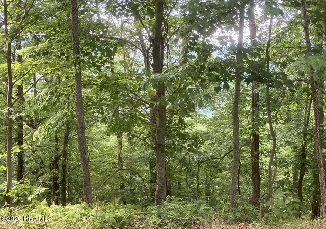 Photo 10 of Land for sale at Lot 51 Buck Ridge Dr, Murphy, NC 28906 | MLS# 100580423 | Listing updated on 2026-08-19