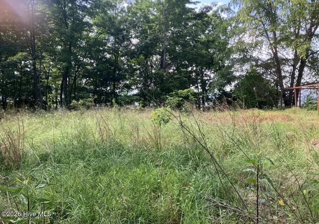 Photo 1 of Land for sale at Lot 51 Buck Ridge Dr, Murphy, NC 28906 | MLS# 100580423 | Listing updated on 2026-08-19