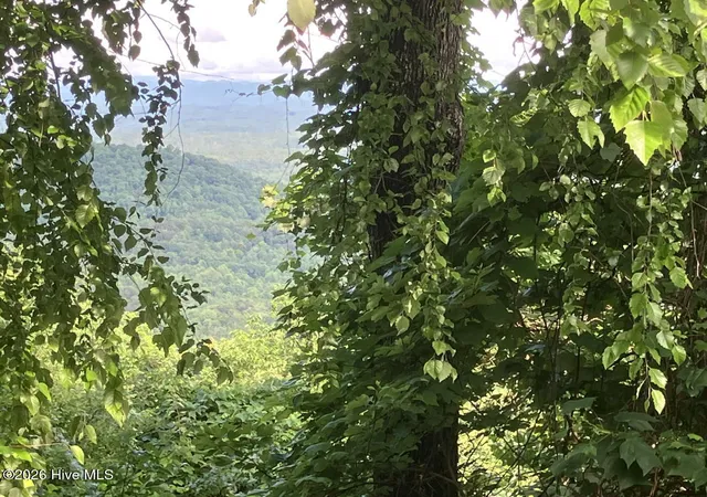 Photo 2 of Land for sale at Lot 51 Buck Ridge Dr, Murphy, NC 28906 | MLS# 100580423 | Listing updated on 2026-08-19