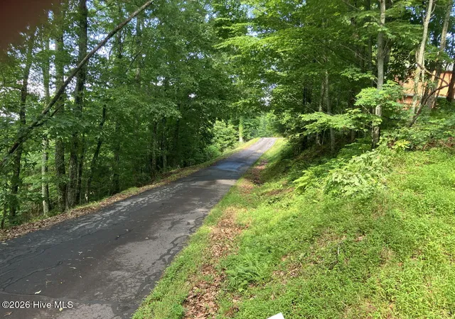 Photo 3 of Land for sale at Lot 51 Buck Ridge Dr, Murphy, NC 28906 | MLS# 100580423 | Listing updated on 2026-08-19