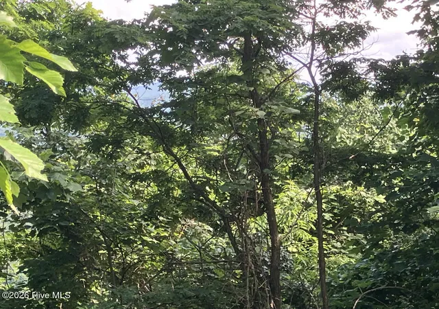 Photo 4 of Land for sale at Lot 51 Buck Ridge Dr, Murphy, NC 28906 | MLS# 100580423 | Listing updated on 2026-08-19
