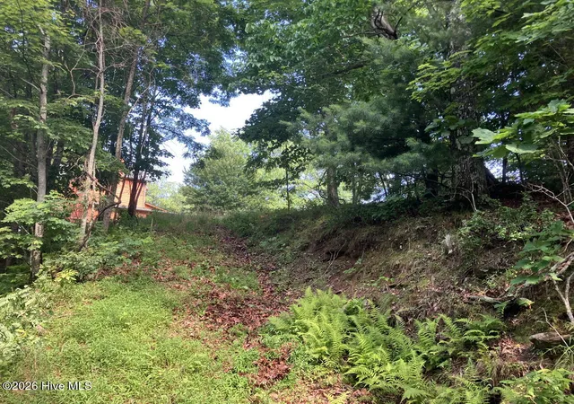 Photo 5 of Land for sale at Lot 51 Buck Ridge Dr, Murphy, NC 28906 | MLS# 100580423 | Listing updated on 2026-08-19