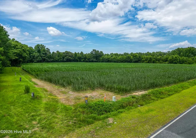 Homes for sale in Clarkton, NC | Tbd Farmers Union Rd, Clarkton, NC 28433 | MLS# 100580312