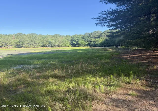 Homes for sale in Ellerbe, NC | Tbd Jones Spring Church Rd, Ellerbe, NC 28338 | MLS# 100585779