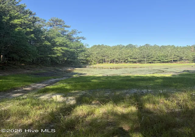 Homes for sale in Ellerbe, NC | Tbd Jones Spring Church Rd, Ellerbe, NC 28338 | MLS# 100585779