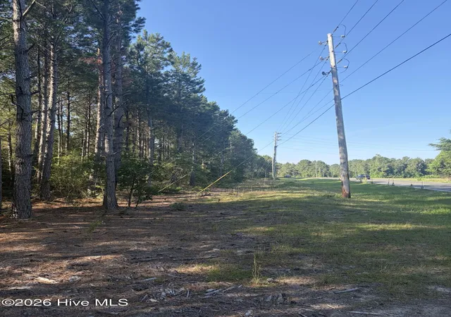 Homes for sale in Ellerbe, NC | Tbd Jones Spring Church Rd, Ellerbe, NC 28338 | MLS# 100585779