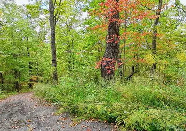 Homes for sale in Hayesville, NC | Lot 23 Skyview, Hayesville, NC 28904 | MLS# 98525029
