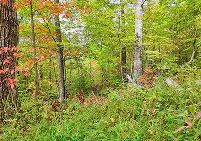 Homes for sale in Hayesville, NC | Lot 23 Skyview, Hayesville, NC 28904 | MLS# 98525029