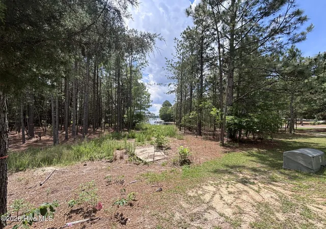 Homes for sale in West End, NC | 449 Longleaf Dr, West End, NC 27376 | MLS# 100577831