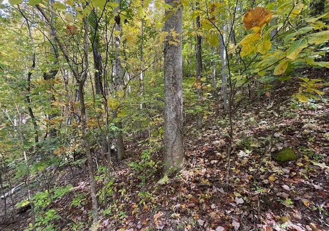 Homes for sale in Murphy, NC | Lot 73 Hidden Treasure, Murphy, NC 28906 | MLS# 98543742