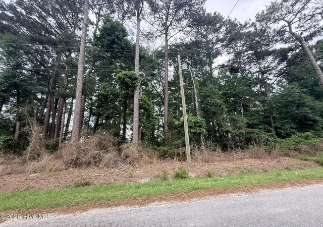 2nd image of 0 Idlewild Dr, Greenville, NC 27834 | MLS# 100578309