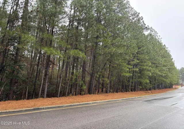 Photo 2 of Land for sale at 40 Chestertown Dr, Pinehurst, NC 28374 | MLS# 100544262 | Listing updated on 2026-08-25