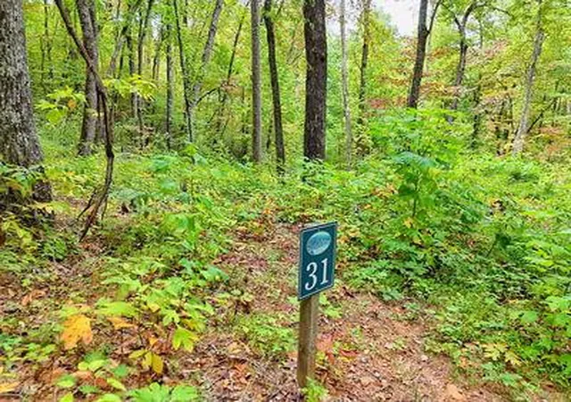 Homes for sale in Hayesville, NC | Lot 31 Skyview Trl, Hayesville, NC 28904 | MLS# 98500771