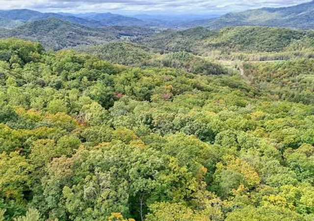 Homes for sale in Hayesville, NC | Lot 31 Skyview Trl, Hayesville, NC 28904 | MLS# 98500771
