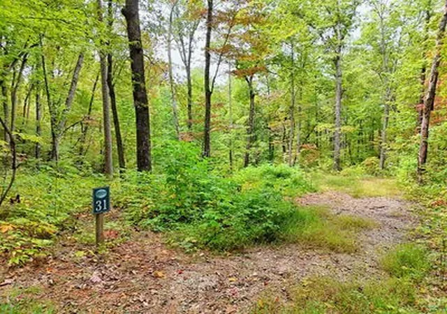 Homes for sale in Hayesville, NC | Lot 31 Skyview Trl, Hayesville, NC 28904 | MLS# 98500771