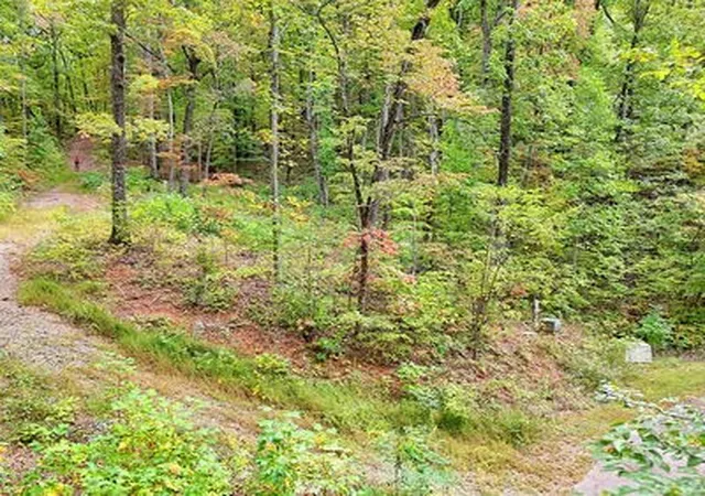 Homes for sale in Hayesville, NC | Lot 31 Skyview Trl, Hayesville, NC 28904 | MLS# 98500771