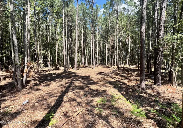Photo 2 of Land for sale at Lot 1 Elm St, Belhaven, NC 27810 | MLS# 100600155 | Listing updated on 2026-09-01