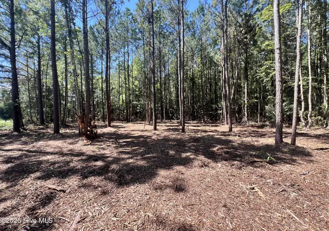 Photo 3 of Land for sale at Lot 1 Elm St, Belhaven, NC 27810 | MLS# 100600155 | Listing updated on 2026-09-01