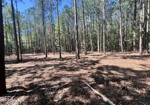 Photo 4 of Land for sale at Lot 1 Elm St, Belhaven, NC 27810 | MLS# 100600155 | Listing updated on 2026-09-01