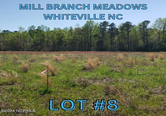 Homes for sale in Whiteville, NC | 97 Mill Branch Dr, Whiteville, NC 28472 | MLS# 100562144