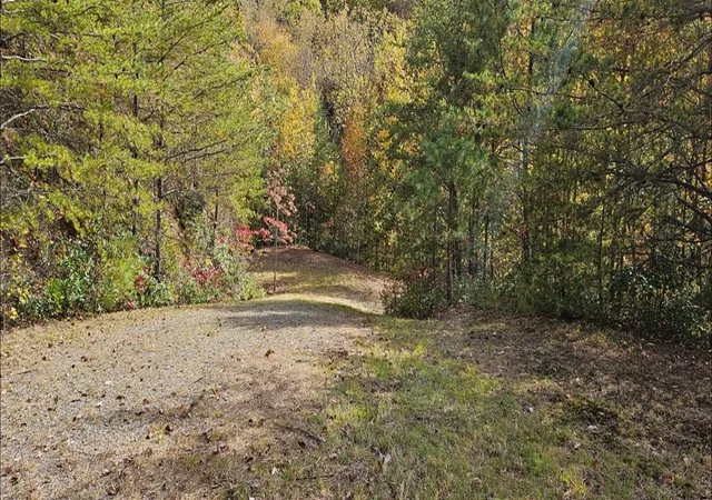 Photo 17 of Land for sale at 247 Rice Ln, Marble, NC 28905 | MLS# 98543818 | Listing updated on 2026-08-19