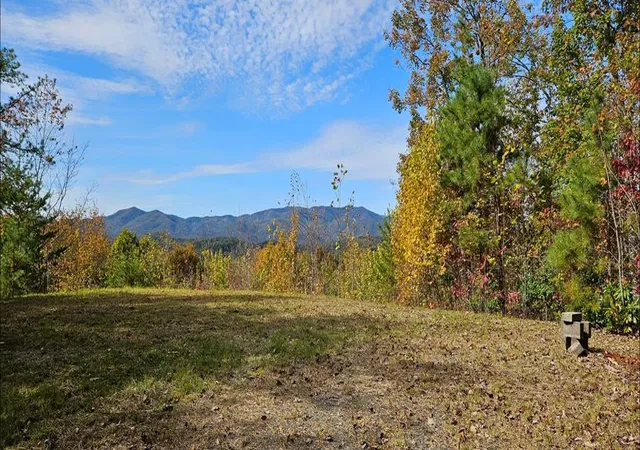 Photo 1 of Land for sale at 247 Rice Ln, Marble, NC 28905 | MLS# 98543818 | Listing updated on 2026-08-19