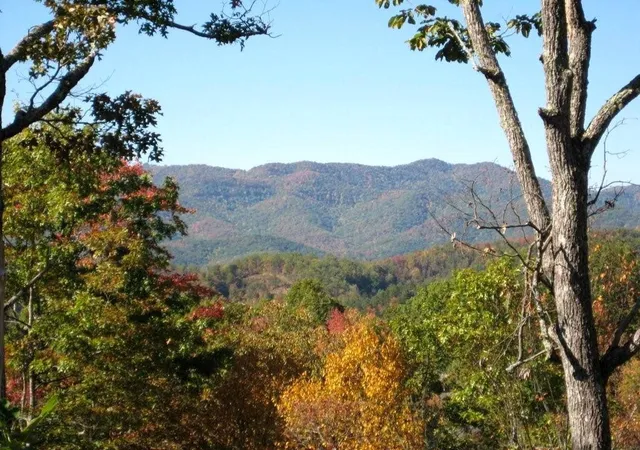 Photo 2 of Land for sale at 247 Rice Ln, Marble, NC 28905 | MLS# 98543818 | Listing updated on 2026-08-19