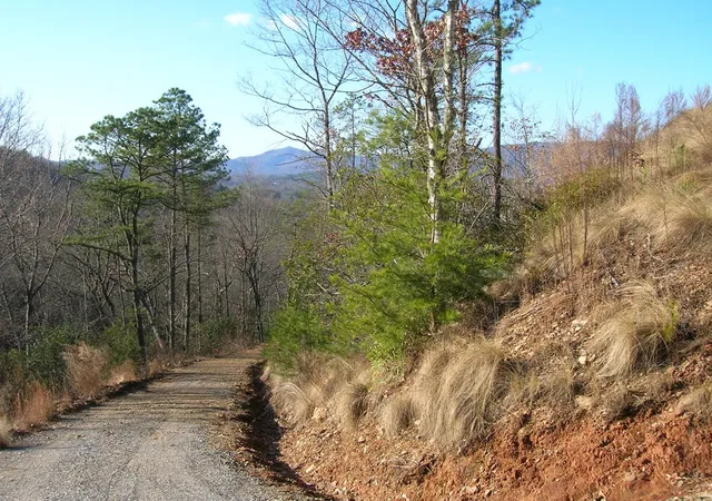 Photo 3 of Land for sale at 247 Rice Ln, Marble, NC 28905 | MLS# 98543818 | Listing updated on 2026-08-19